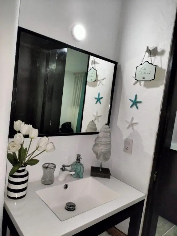 Departamento de la aurora 2019