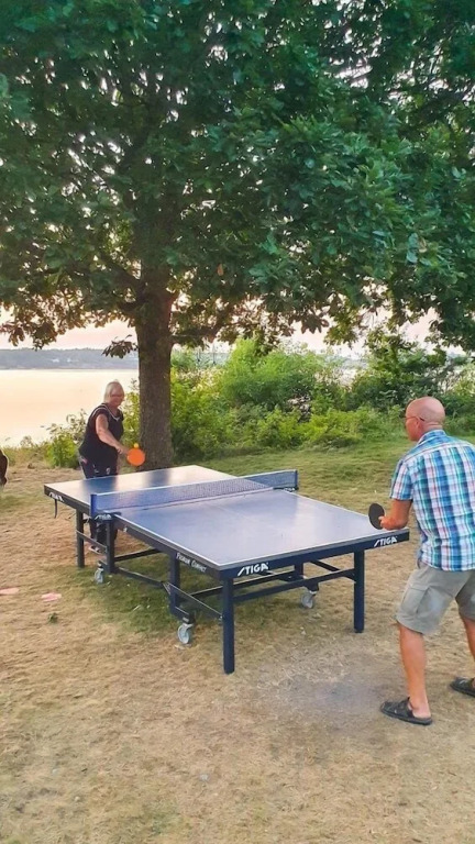 Surfviken Glamping and B&B