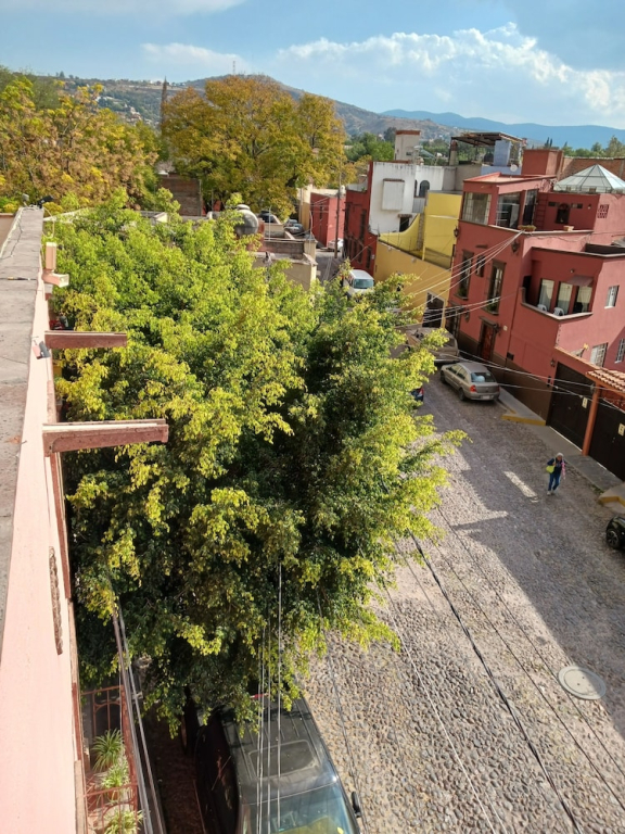 Posada Rosa Hotel SMA