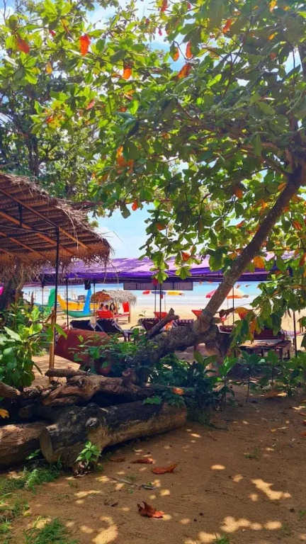 Lucky Monkey Inn and Restaurant