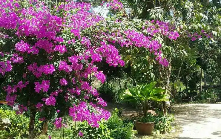 Baan Pak Rimkuen Resort