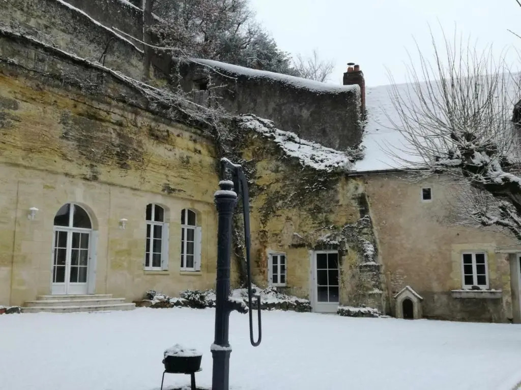 Maison troglodyte de charme avec salle de jeux et spa à Vouvray - FR-1-381-87