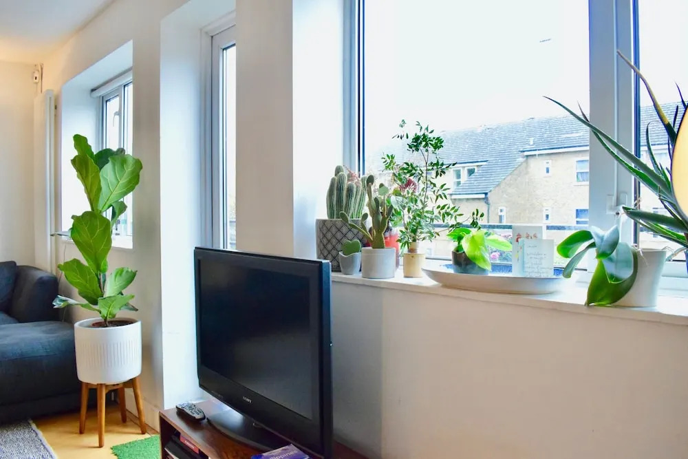 2 Bedroom Flat With Balcony in Homerton