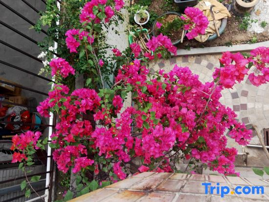 Huakai Vacation Apartment (Guangzhou North Station Huacheng Road Subway Station)