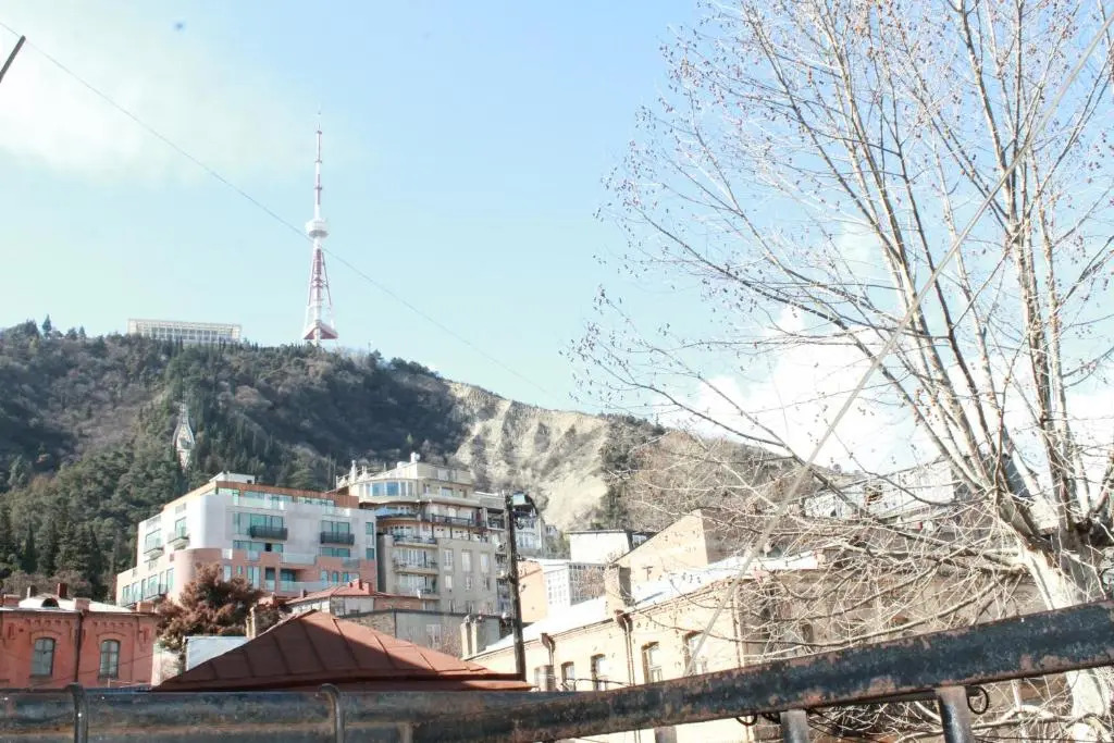9 Shio Chitadze Street
