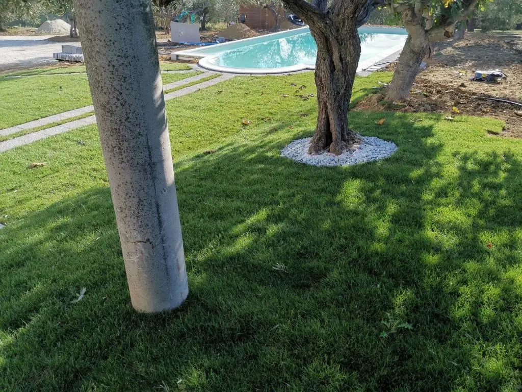 Villa Felicia