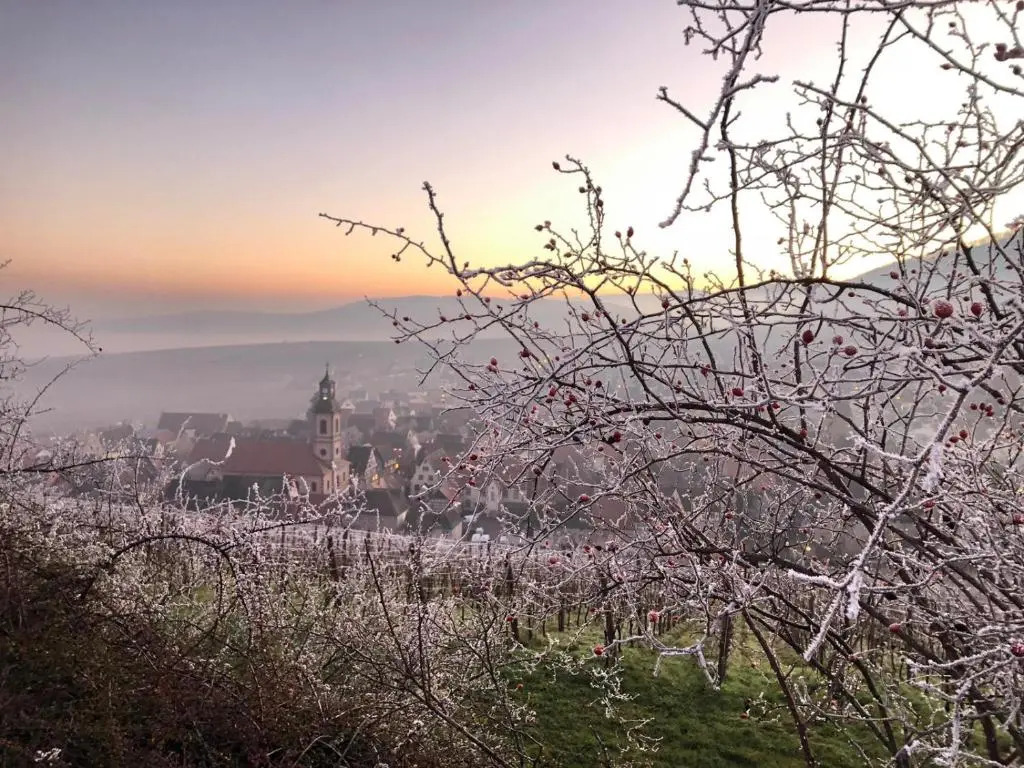 Les Gîtes Coeur de Vigne