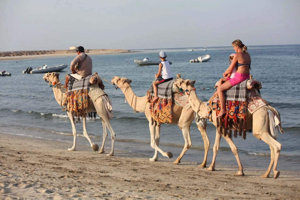 Abu Dabbab Lodge