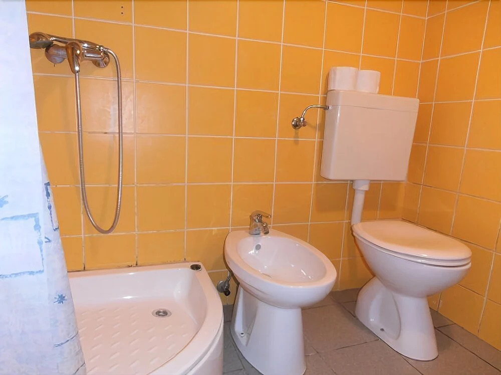 Apartment Renata