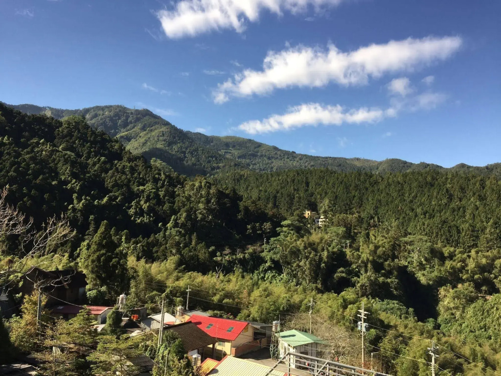 Ginkgo Hotel