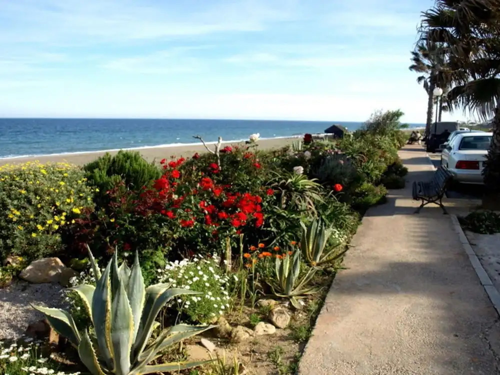 Aldea Beach 1000