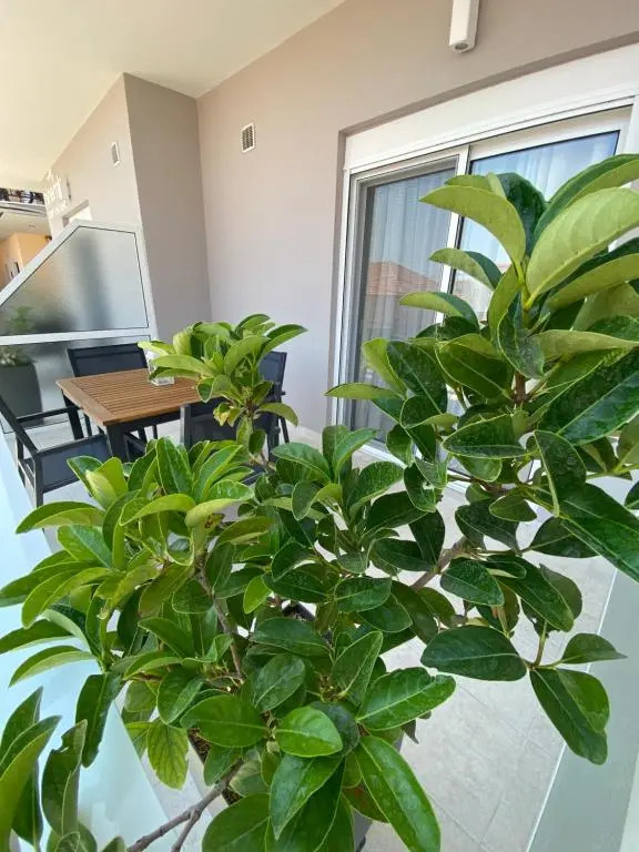 Ninemia luxury apartments