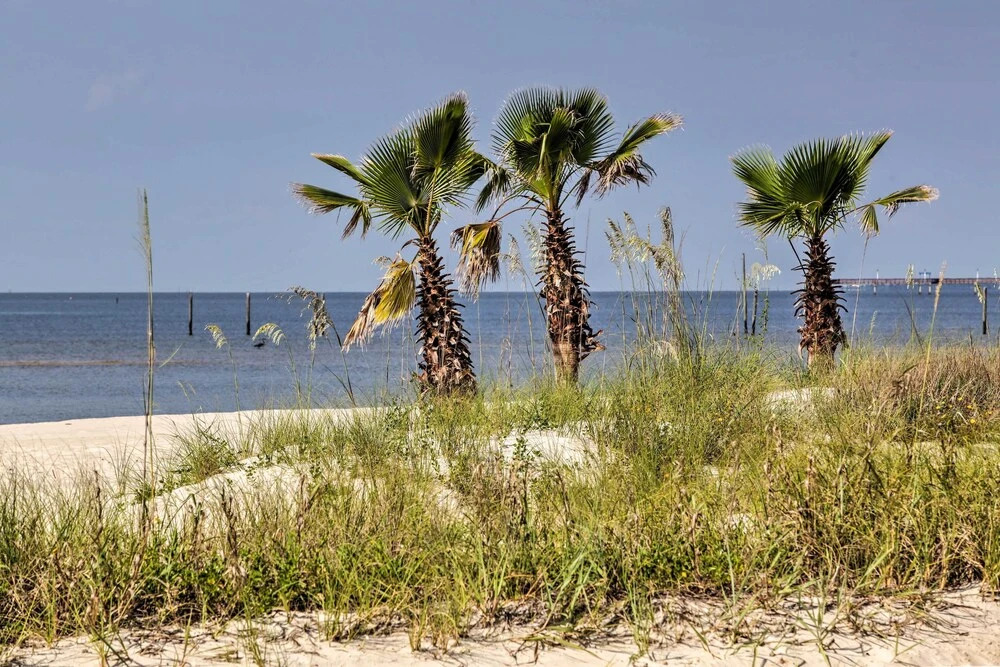 'the Palm' Bay St. Louis Home - Walk to Beach!