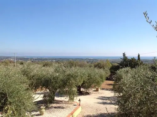 Rustico degli Ulivi