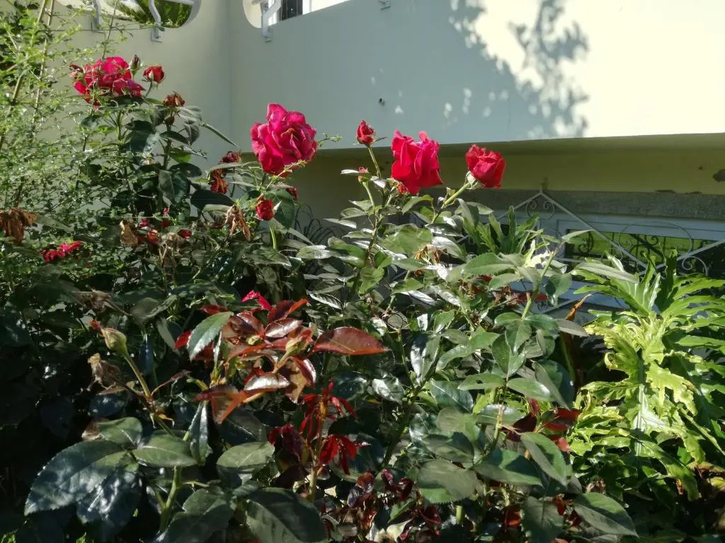 Casa do Riacho