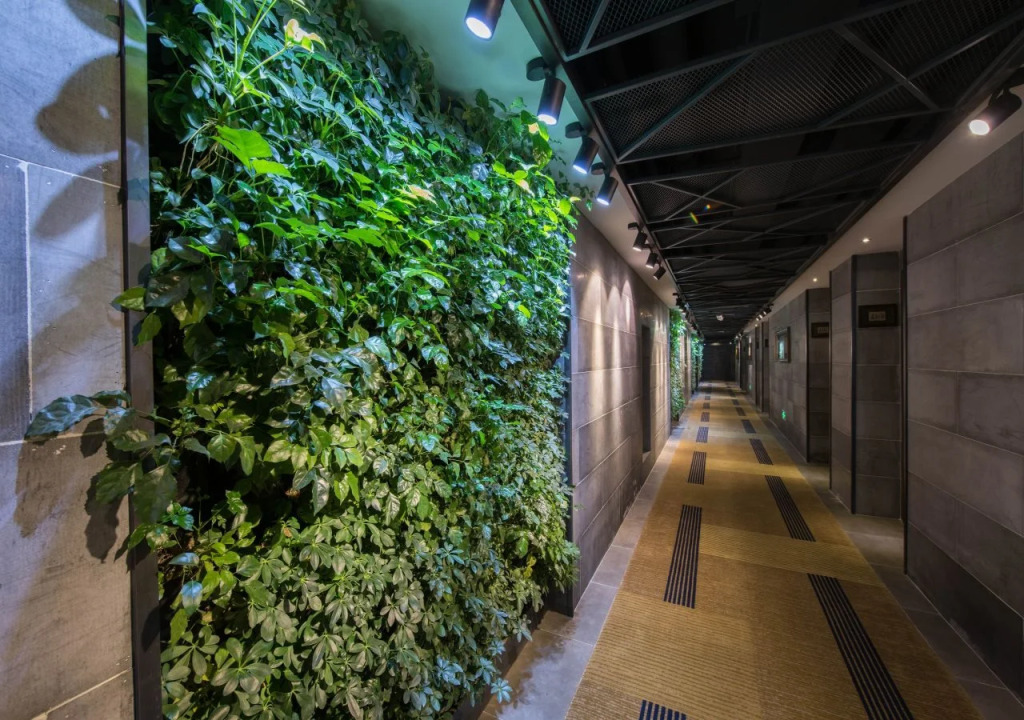 SHOWSE Wellness Hotel