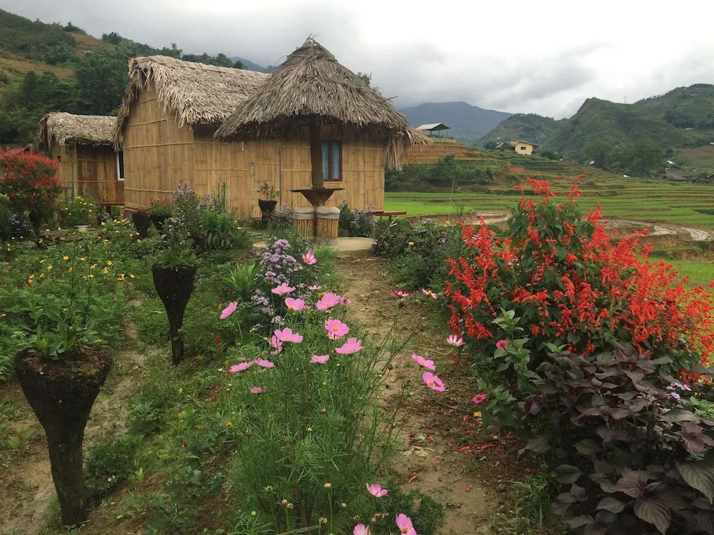 Golden Rice Garden Sapa