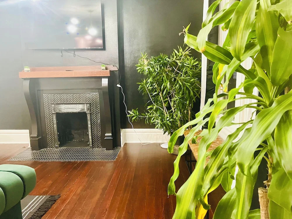 Jungle Casa Lundy