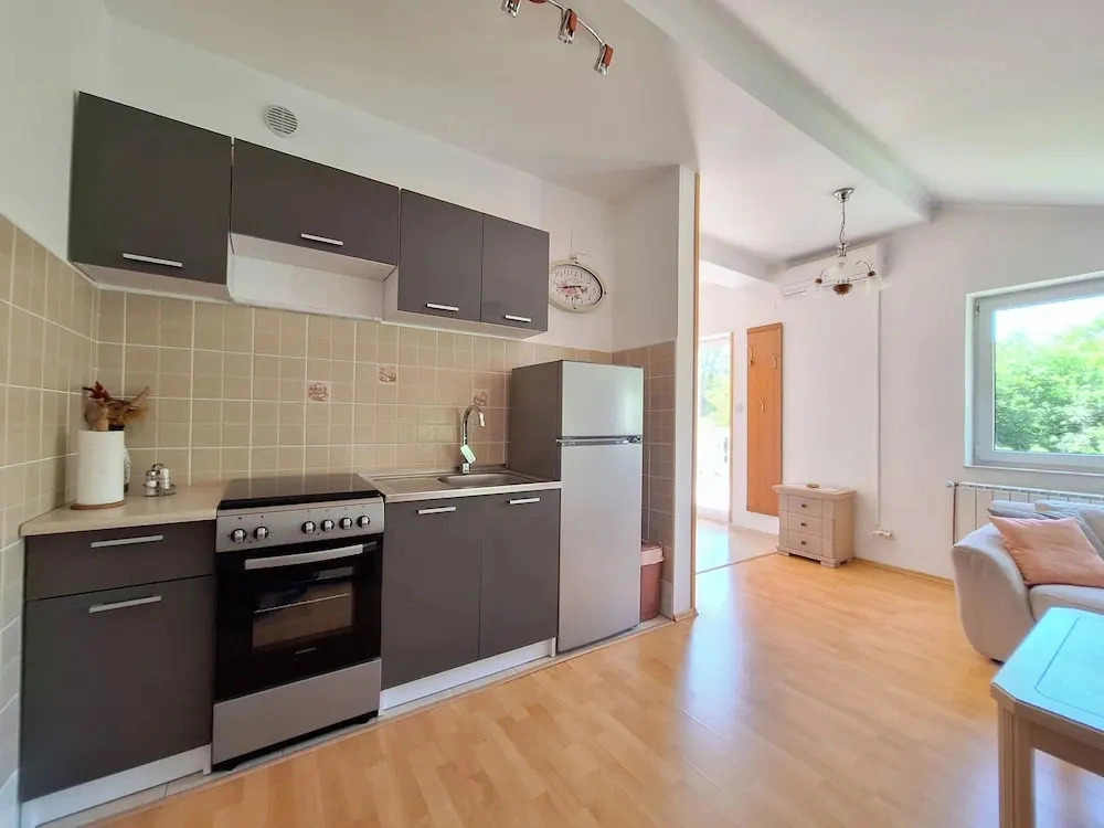 Apartment Nenad