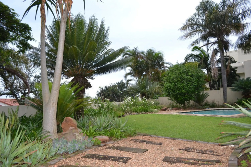 Three Palms