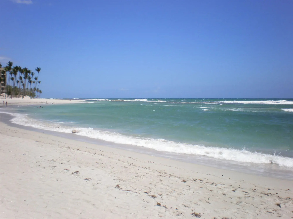 Plaza Real Resort
