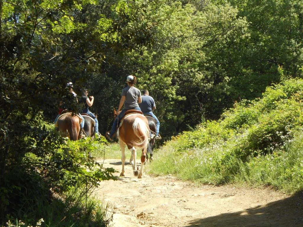 Casa Vacanze La Baghera Alta