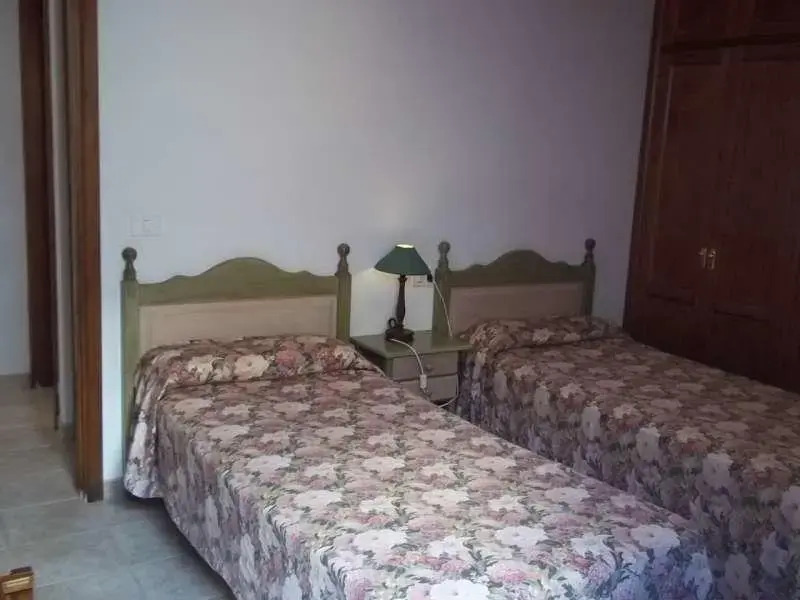 Akebia