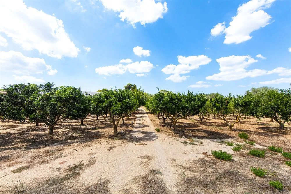 Tenuta Don Salvatore