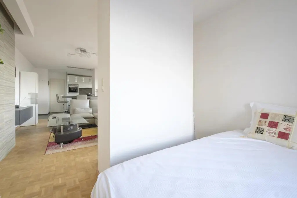 Nice studio with big terrace