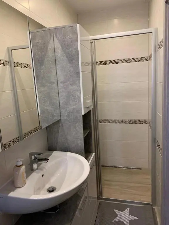 2Raum-Apartment Leznew