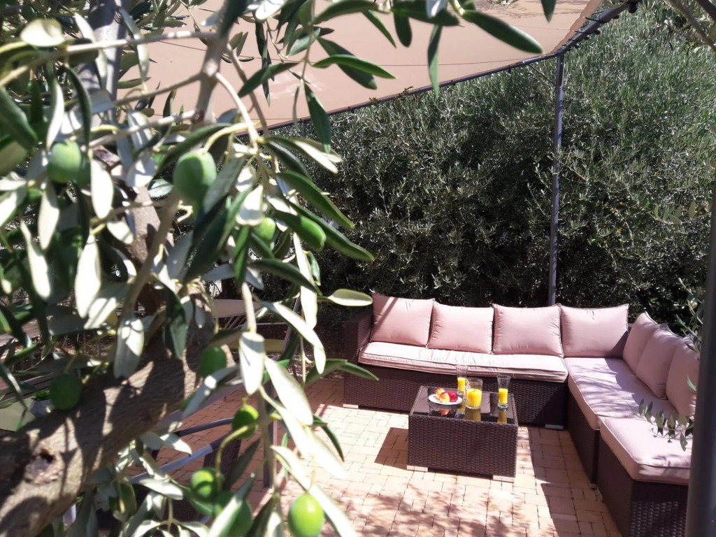 Olive - Swimming Pool - SA5