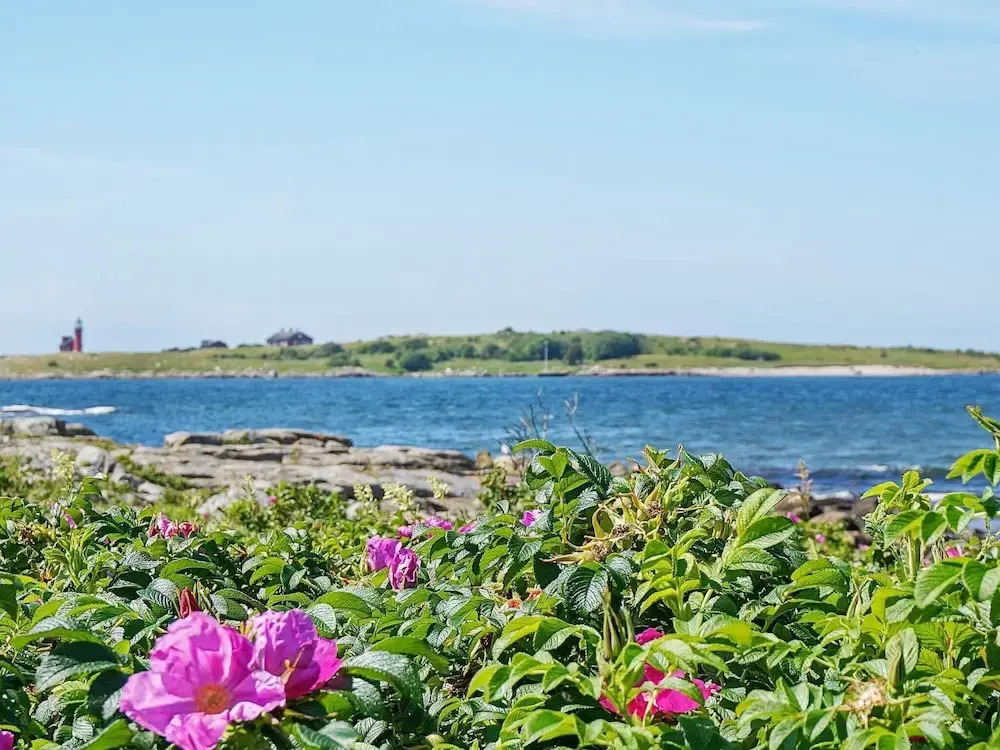 6 Person Holiday Home in Falkenberg
