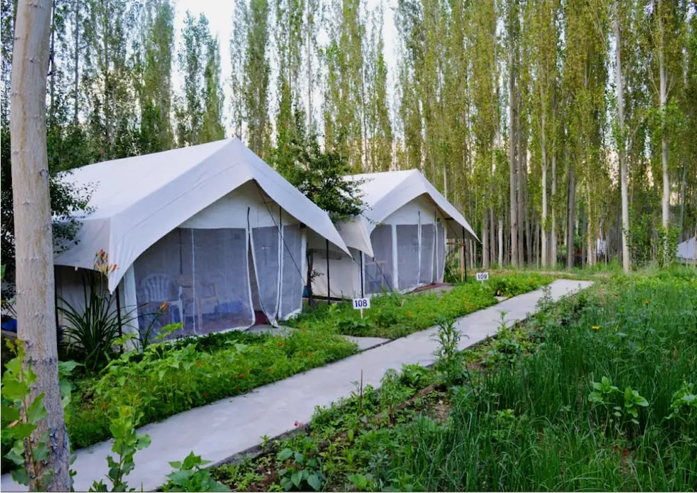 TIH Mystique Meadows Camp