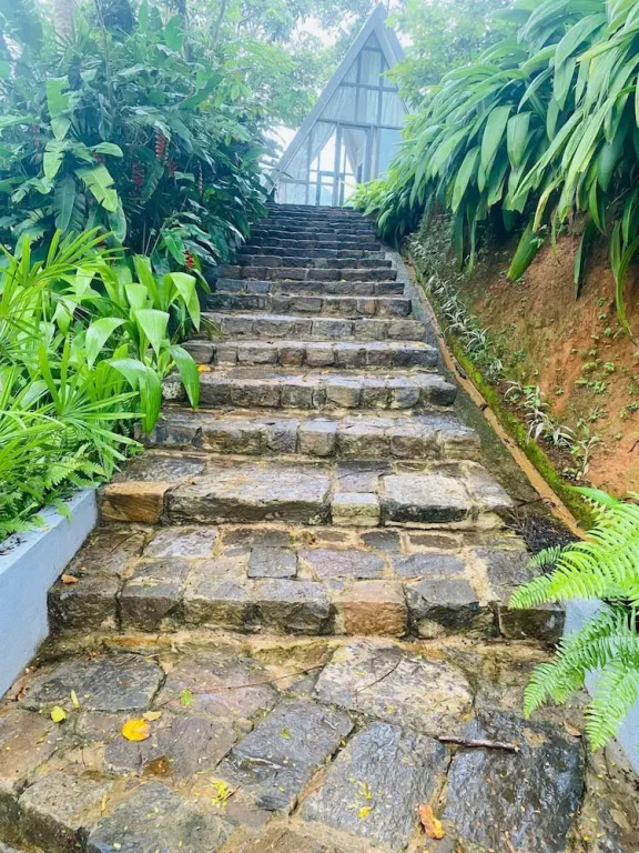 Rain Drops Wellness Villa Deniyaya, Sinharaja