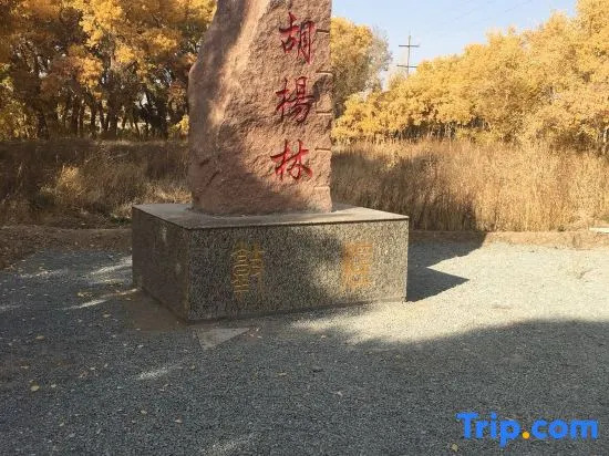 YuanMeng