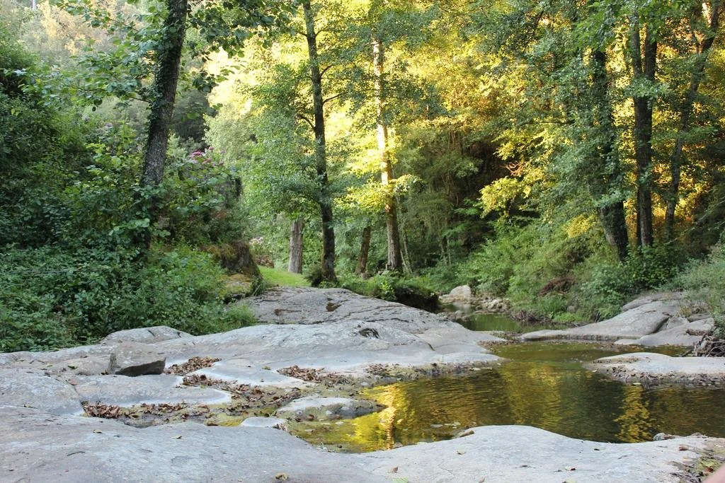 Il Cielo Bio - nature, relax, Shiatsu, massage, esplore Chianti