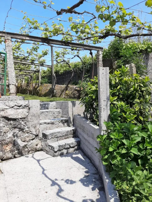 Saxa Hostel B&B