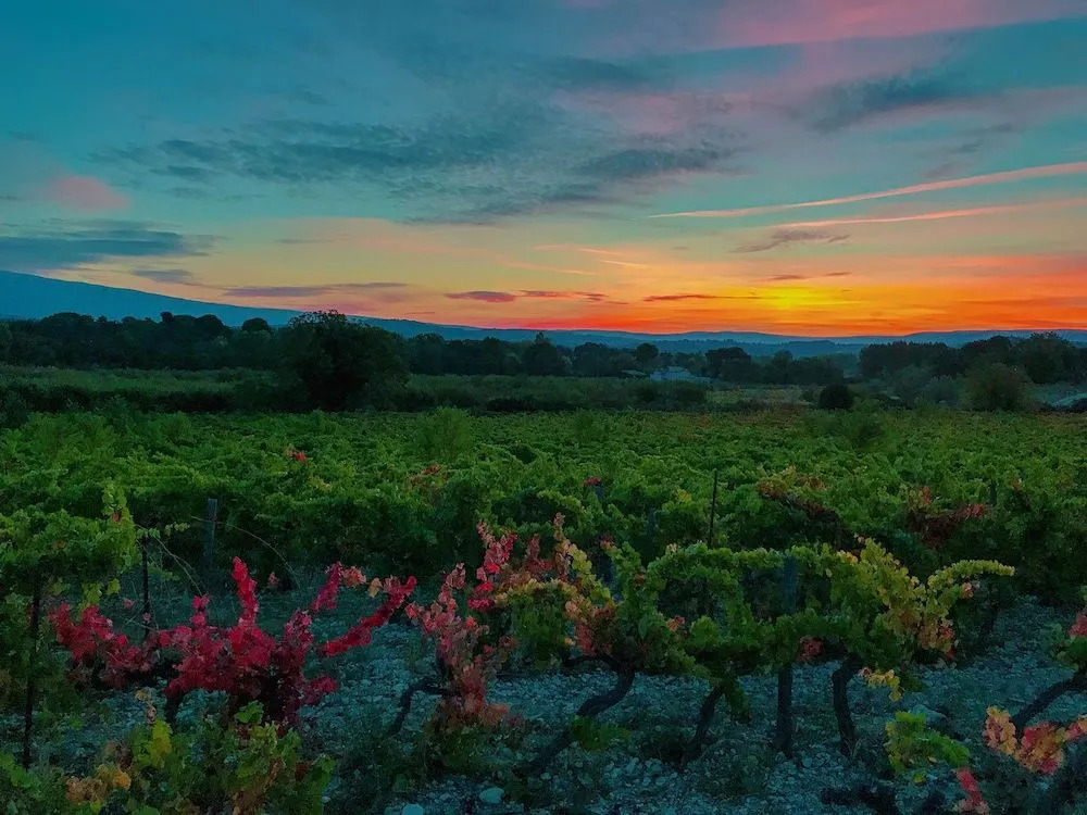 Domaine de La Brave
