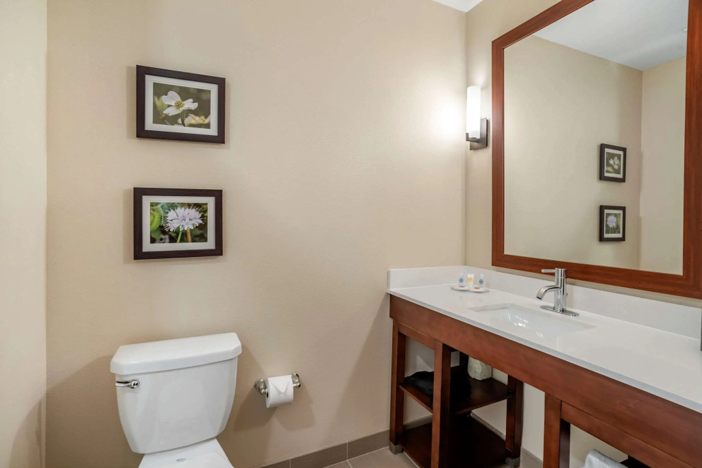 Comfort Inn & Suites Winchester