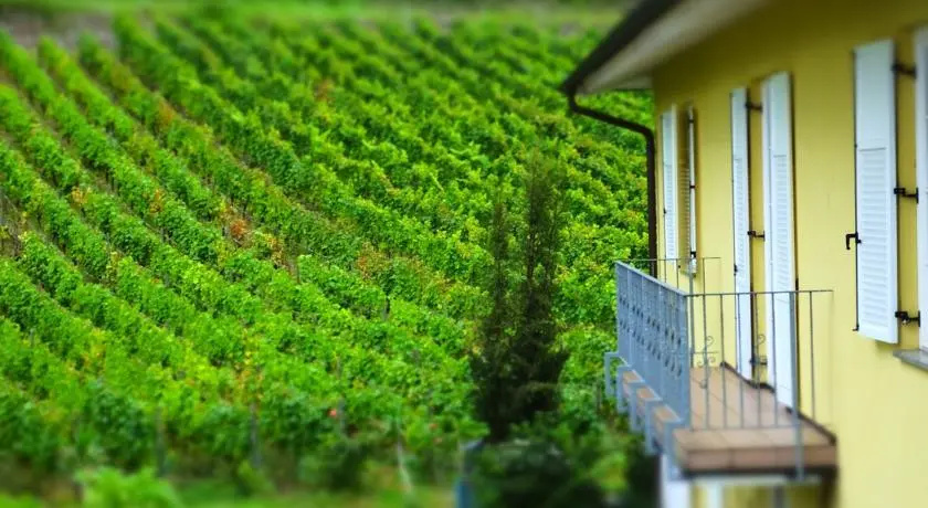 Weingut und Hotel Haus am Drachenloch
