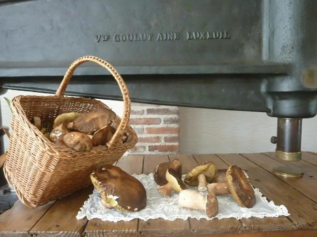 Domaine De La Tannerie chambres dhôtes et appartements
