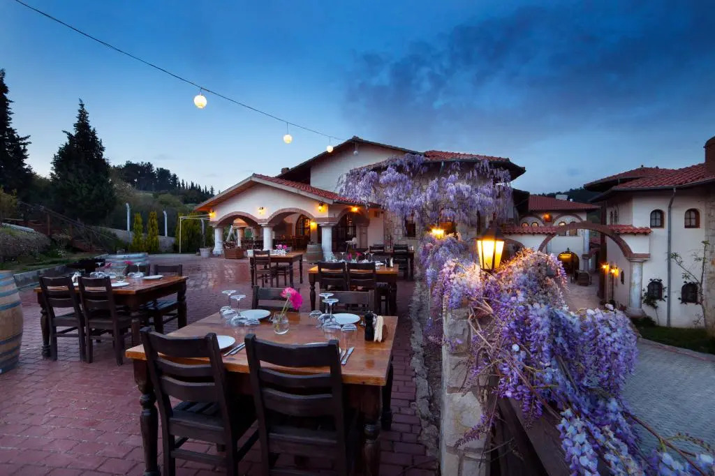 Vinifera Vineyards Hotel
