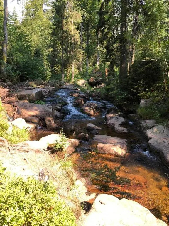Wurmberg Baude 1