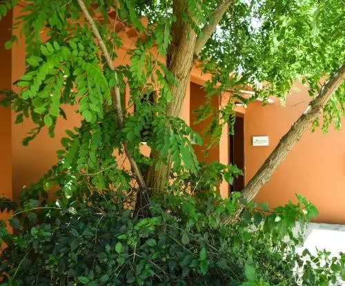 Ebadi Inn