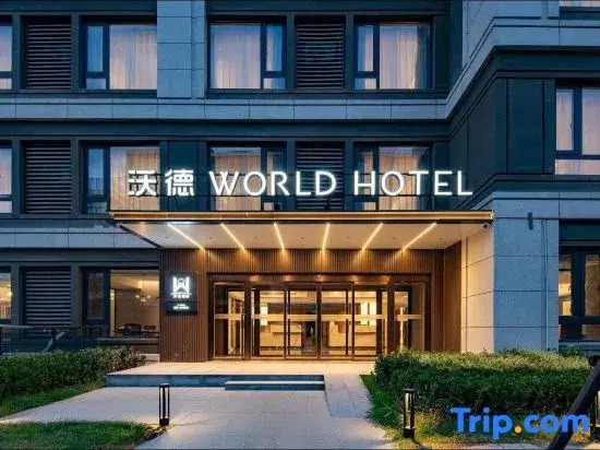 World Hotel (Jinan Century Avenue Wanda Plaza Baoshan Metro Station Branch)