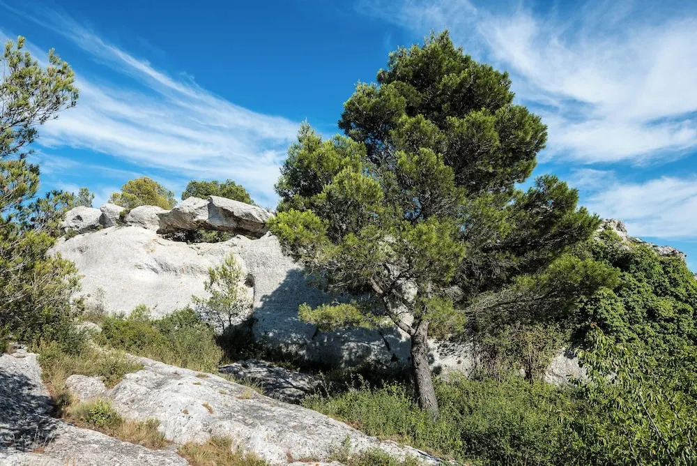 Hôtel Mas Vidau Porte des Alpilles