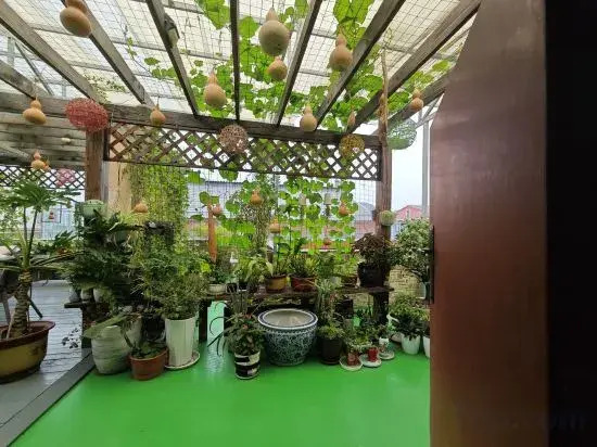 Laocheng Yard Homestay