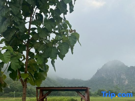 Khao Poon Camping
