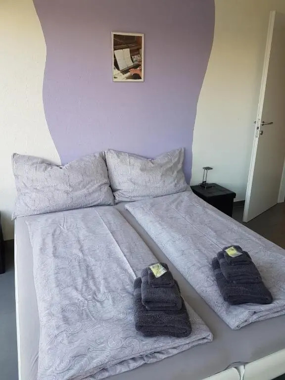 Brissago: 3.5 Zi-Wohnung an extrem ruhiger Lage mit fantastischem Ausblick
