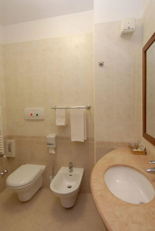 Hotel Mir